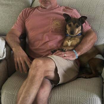Brownie -  Mixed Breed Dog for Adoption in Palm Springs, Florida - Brownie | PetCurious