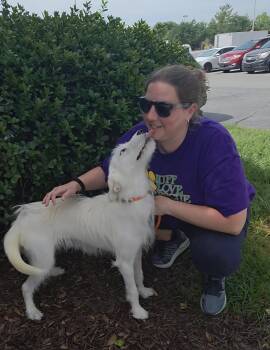 Kate -  Mixed Breed Dog for Adoption in Thomasville, North Carolina - Kate | PetCurious