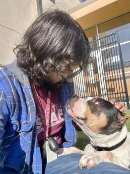 Mixed Breed Dogs Available for Adoption in Wichita, Kansas - Liddy | PetCurious