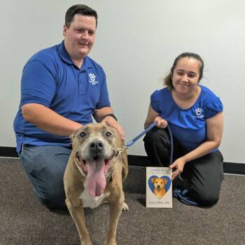 Rescue Mixed Breed Dogs for Adoption in Medford, Oregon - Lily | PetCurious