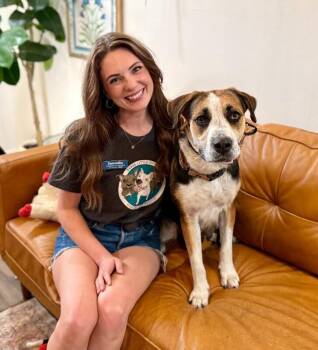 Perla Honey The Snuggle Ready Sweetheart -  Labrador Retriever and Beagle Dog for Adoption in Friendswood, Texas - Perla Honey The Snuggle Ready Sweetheart | PetCurious