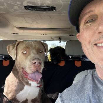Jasper -  Mixed Breed and Pit Bull Terrier Dog for Adoption in San Diego, California - Jasper | PetCurious