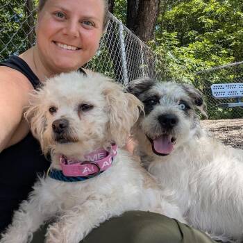 Oscar -  Mixed Breed Dog Available for Adoption in West Olive, Michigan - Oscar | PetCurious