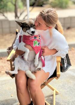Princess -  Mixed Breed Dog for Adoption in Thousand Oaks, California - Princess | PetCurious