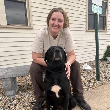 Peter -  Black Labrador Retriever and Mixed Breed Dog for Adoption in Canton, Illinois - Peter | PetCurious