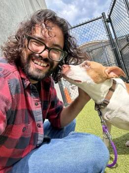 Carrot -  Mixed Breed Dog for Adoption in Wichita, Kansas - Carrot | PetCurious