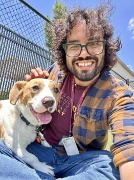 2018 Toyota Corolla LE -  Mixed Breed Dog for Adoption in Wichita, Kansas - 2018 Toyota Corolla LE | PetCurious