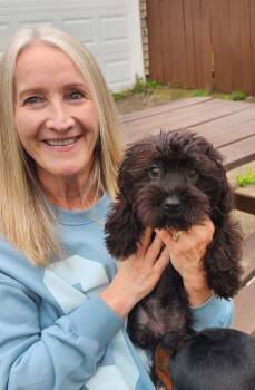 Poodle and Yorkshire Terrier Dogs Available for Adoption in Buffalo, New York - Laurie | PetCurious