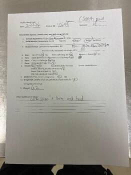 Mixed Breed Dogs Available for Adoption - Farrah | PetCurious