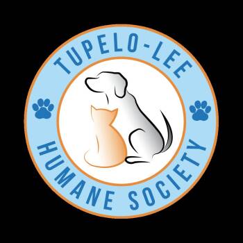 Trace - -  Terrier and Mixed Breed Dog for Adoption in Tupelo, Mississippi - Trace - | PetCurious