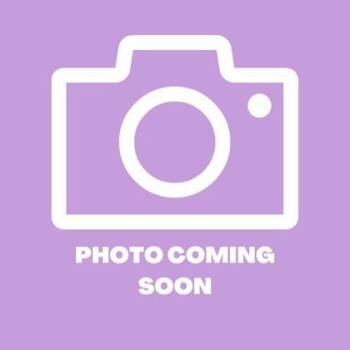 Terrier and Mixed Breed Dogs Available for Adoption in El Paso, Texas - 60869320 | PetCurious