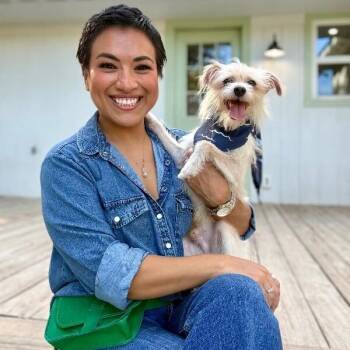 Ozzy Happy Feet -  Wirehaired Terrier Dog for Adoption in Friendswood, Texas - Ozzy Happy Feet | PetCurious