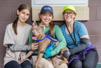Pellegrino -  Mixed Breed Dog for Adoption in Chamblee, Georgia - Pellegrino | PetCurious