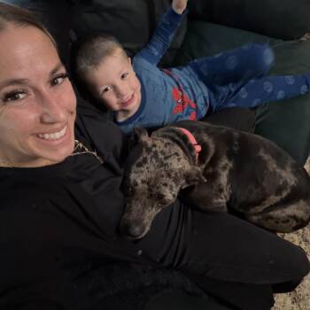 Chewy -  Pit Bull Terrier Dog for Adoption in Valparaiso, Indiana - Chewy | PetCurious