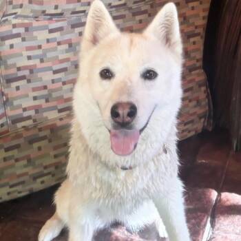 CT Sasha - avail Sept 19 @ Batter