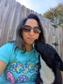 Rescue Black Labrador Retriever Dogs for Adoption in Thomasville, North Carolina - Cheers | PetCurious