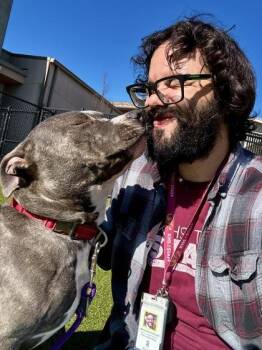 Mixed Breed Dogs Available for Adoption - Darkwing Duck | PetCurious