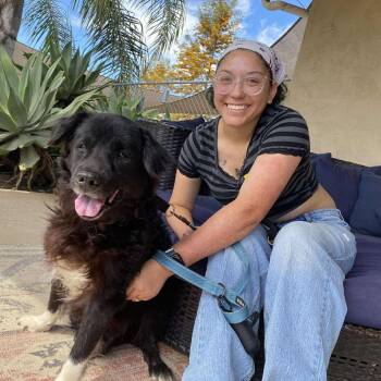 Black Labrador Retriever Dogs Available for Adoption in Ramona, California - Laxis Larkin | PetCurious