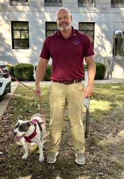 Rescue American Bulldog and Pit Bull Terrier Dogs for Adoption in Watertown, Connecticut - Mazzy | PetCurious