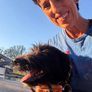Zippy -  Black Labrador Retriever and Standard Poodle Dog for Adoption in Aledo, Texas - Zippy | PetCurious