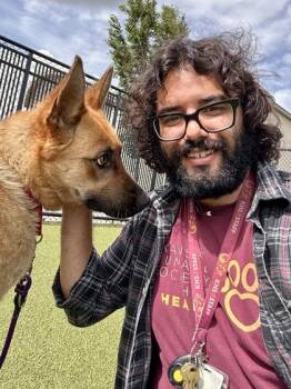 Mixed Breed Dogs Available for Adoption in Wichita, Kansas - Cabbage | PetCurious