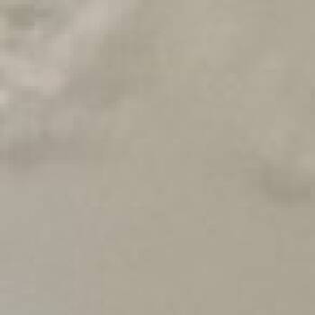 Rescue Australian Cattle Dog Blue Heeler Dogs for Adoption in Blair, Wisconsin - Runty | PetCurious