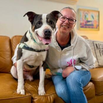 Groundhog the Boy with a Happy Tongue -  Pit Bull Terrier and Staffordshire Bull Terrier Dog for Adoption in Friendswood, Texas - Groundhog The Boy With A Happy Tongue | PetCurious