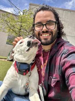 Mixed Breed Dogs Available for Adoption in Wichita, Kansas - Toe | PetCurious