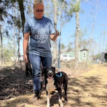 King -  Feist Dog for Adoption in Queen City, Texas - King | PetCurious