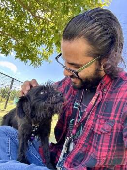 Oak & Pie -  Mixed Breed Dog for Adoption in Wichita, Kansas - Oak & Pie | PetCurious