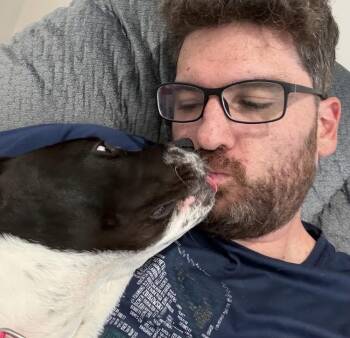 Millie Mitzi -  Terrier and Spaniel Dog for Adoption in Saugus, Massachusetts - Millie Mitzi | PetCurious