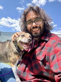Haley -  Mixed Breed Dog for Adoption in Wichita, Kansas - Haley | PetCurious