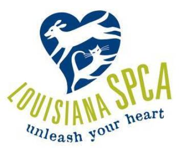 Helios -  Shih Tzu and Mixed Breed Dog for Adoption in New Orleans, Louisiana - Helios | PetCurious