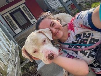 Eden -  Mixed Breed Dog for Adoption in Cincinnati, Ohio - Eden | PetCurious