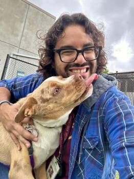 Wilbert -  Mixed Breed Dog for Adoption in Wichita, Kansas - Wilbert | PetCurious