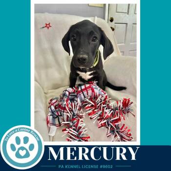 Mercury (Xena