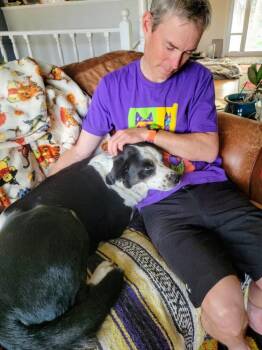 Retriever and Australian Cattle Dog Blue Heeler Dogs Available for Adoption in Evergreen, Colorado - Zoey | PetCurious