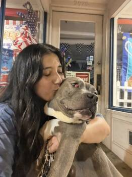 Rescue Mixed Breed Dogs for Adoption in Cincinnati, Ohio - Cayda Bug | PetCurious