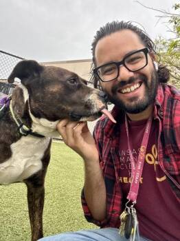 Mixed Breed Dogs Available for Adoption in Wichita, Kansas - Hop Scotch | PetCurious