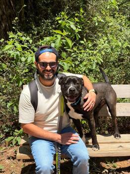Magic (gentle, friendly, good with kids, walks well on a leash a -  Pit Bull Terrier Dog for Adoption in Grand Rapids, Michigan - Magic (gentle, Friendly, Good With Kids, Walks Well On A Leash A | PetCurious