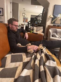 Terrier and Dachshund Dogs Available for Adoption in Broomfield, Colorado - TEDDY | PetCurious