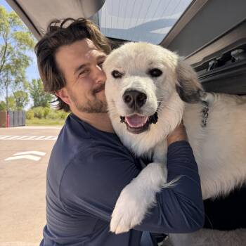 Spruce -  Great Pyrenees Dog for Adoption in Tunica, Mississippi - Spruce | PetCurious