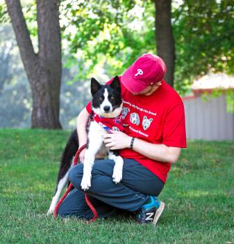 River -  Border Collie and Karelian Bear Dog Dog for Adoption in Coatesville, Pennsylvania - River | PetCurious
