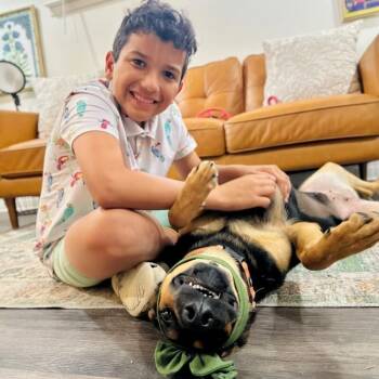 Black And Tan Coonhound and Doberman Pinscher Dogs Available for Adoption - Jennie Ruby Jane | PetCurious