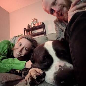 Pit Bull Terrier and Mixed Breed Dogs Available for Adoption - Lucy | PetCurious