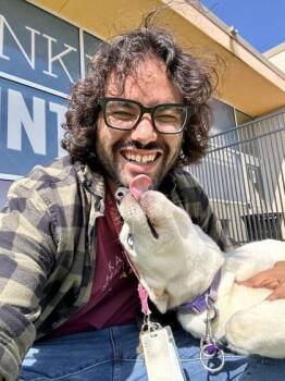 Juney -  Mixed Breed Dog for Adoption in Wichita, Kansas - Juney | PetCurious