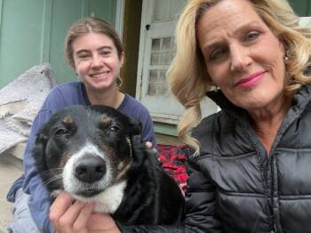 Border Collie and Australian Shepherd Dogs Available for Adoption in Petaluma, California - Blossom | PetCurious