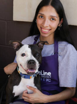 Rescue Mixed Breed Dogs for Adoption in Chamblee, Georgia - Anycia | PetCurious