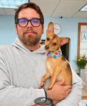 Munchkin -  Mixed Breed Dog for Adoption in Grayling, Michigan - Munchkin | PetCurious