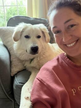 Hellen -  Great Pyrenees Dog for Adoption in Bowdoin, Maine - Hellen | PetCurious
